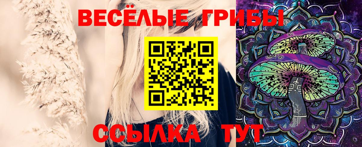 Галлюциногенные грибы MAGIC MUSHROOMS Новоуральск