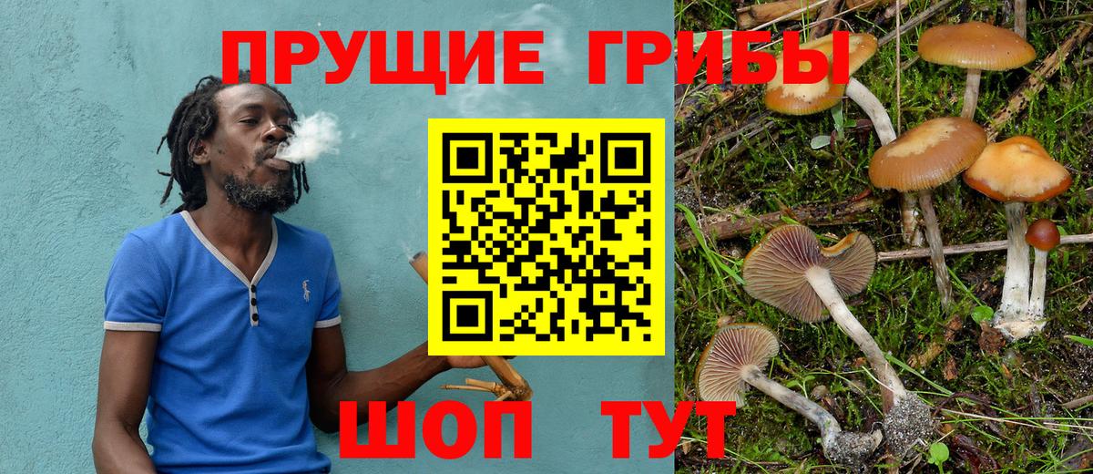 Галлюциногенные грибы Magic Shrooms  Вход с VPN  Новоуральск 